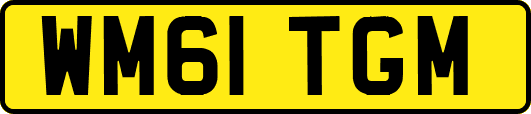 WM61TGM