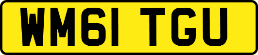 WM61TGU