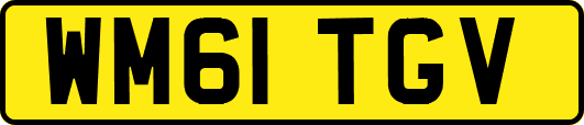 WM61TGV