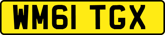 WM61TGX
