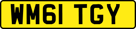 WM61TGY