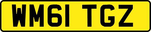 WM61TGZ