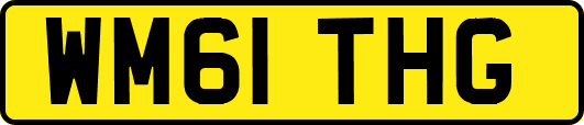 WM61THG
