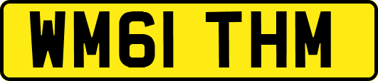 WM61THM