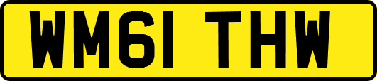 WM61THW