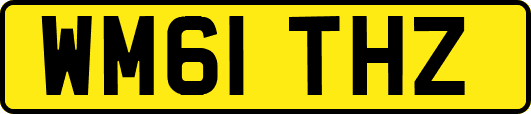 WM61THZ