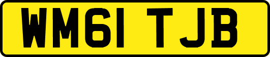 WM61TJB