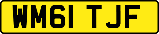 WM61TJF