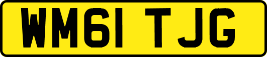 WM61TJG