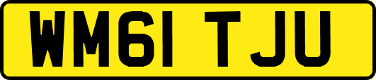 WM61TJU