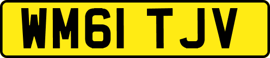 WM61TJV
