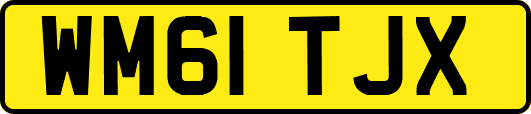 WM61TJX