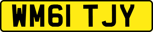 WM61TJY