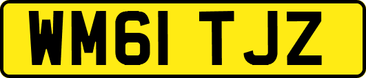 WM61TJZ