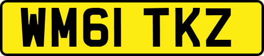 WM61TKZ