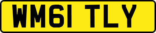 WM61TLY