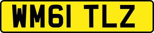 WM61TLZ