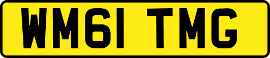 WM61TMG