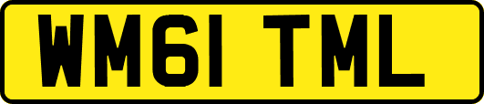 WM61TML