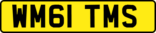 WM61TMS