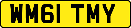 WM61TMY