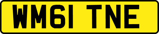 WM61TNE