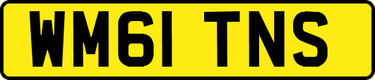 WM61TNS