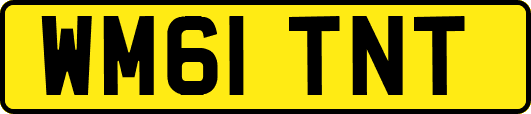 WM61TNT