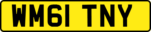 WM61TNY