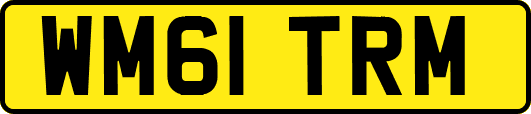 WM61TRM