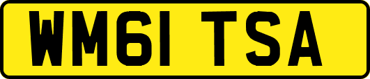 WM61TSA