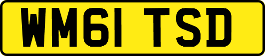 WM61TSD