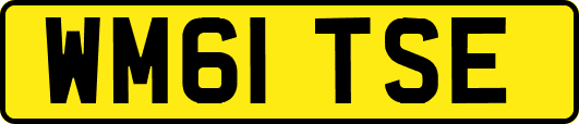 WM61TSE