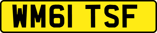 WM61TSF