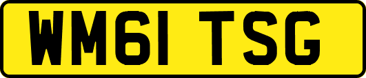 WM61TSG