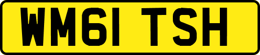 WM61TSH