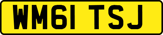 WM61TSJ