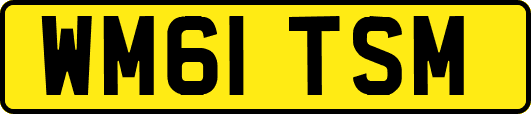WM61TSM