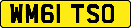 WM61TSO