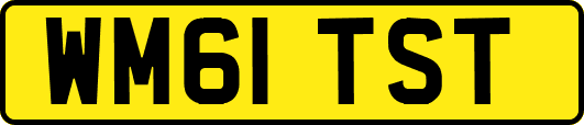 WM61TST