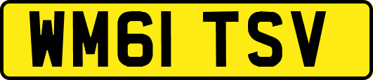 WM61TSV