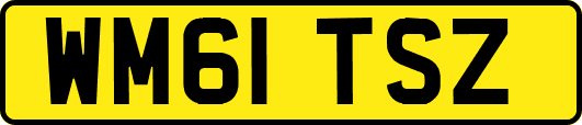 WM61TSZ