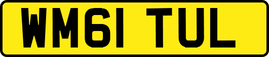 WM61TUL