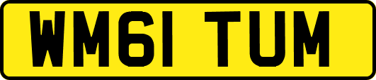 WM61TUM