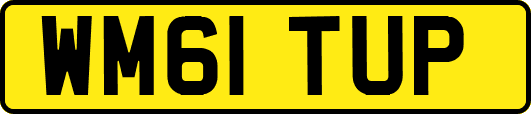 WM61TUP