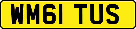 WM61TUS