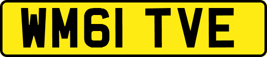 WM61TVE