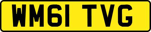 WM61TVG