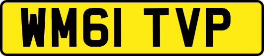 WM61TVP