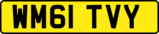 WM61TVY